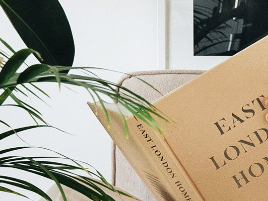 Padomi dekorēšanā – urbāno džungļu stils